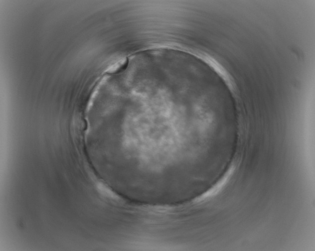 X0000113601001200910161901