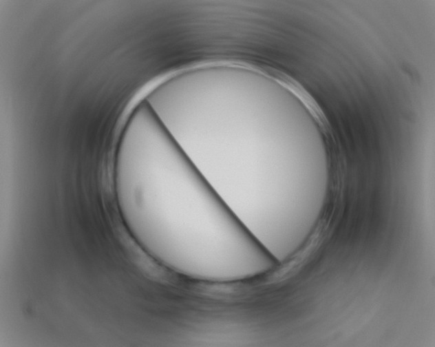 X0000113601004200910161901