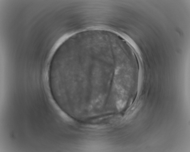 X0000113601005200910161901