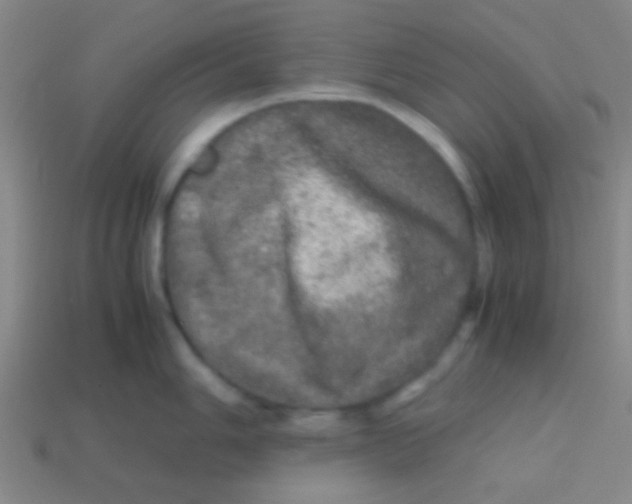 X0000113601006200910161901