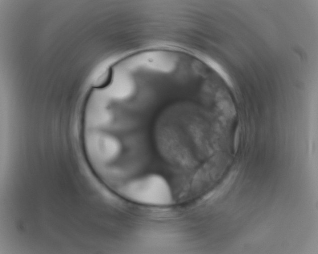 X0000113601007200910161901