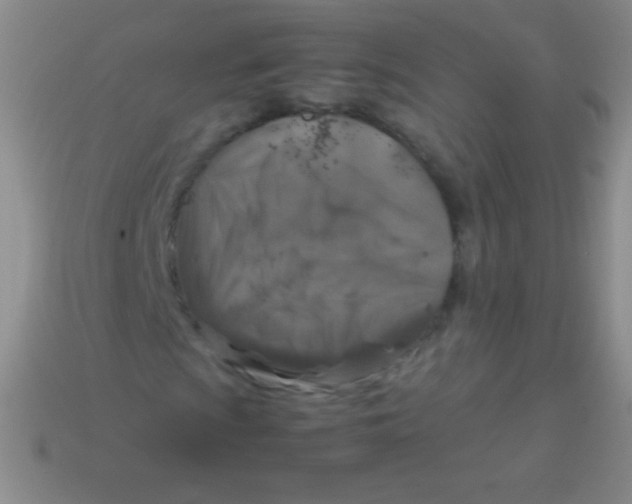 X0000113601009200910161900