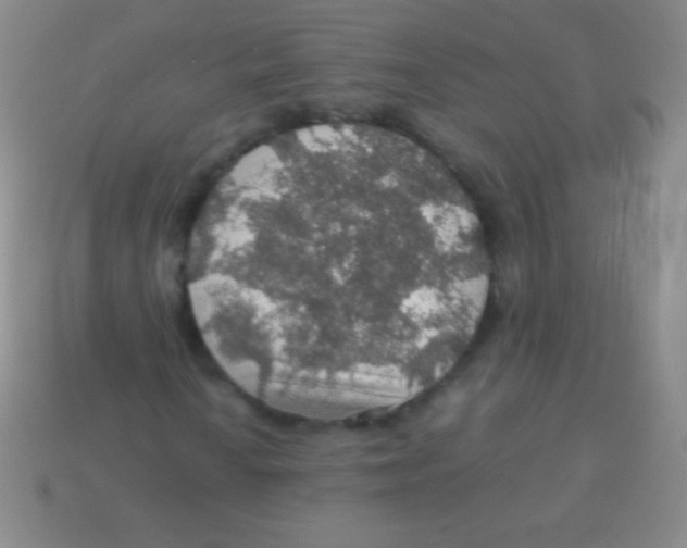 X0000113601010200910161900