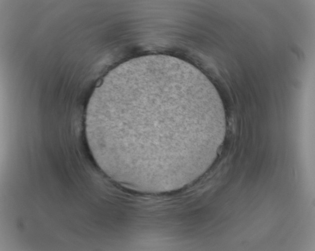 X0000113601012200910161900