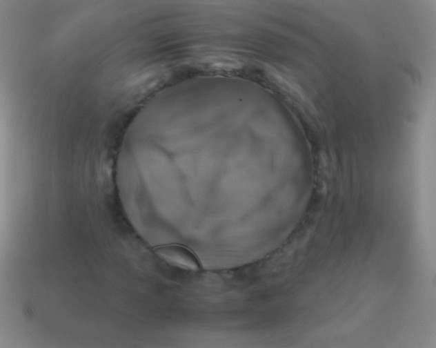 X0000113601013200910161900