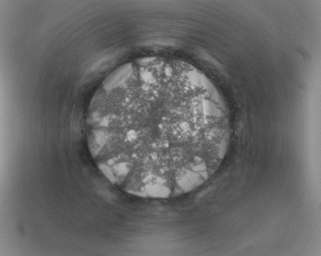 X0000113601014200910161900