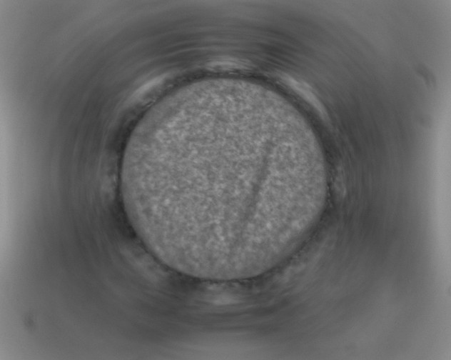 X0000113601015200910161900