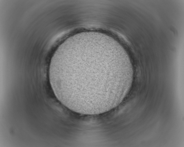 X0000113601016200910161900