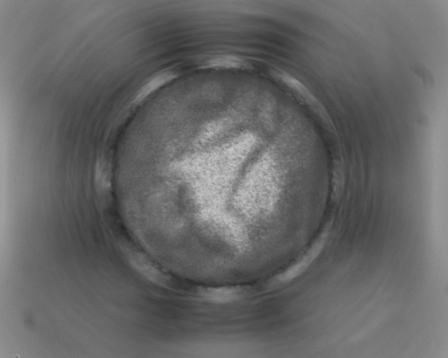 X0000113601017200910161900