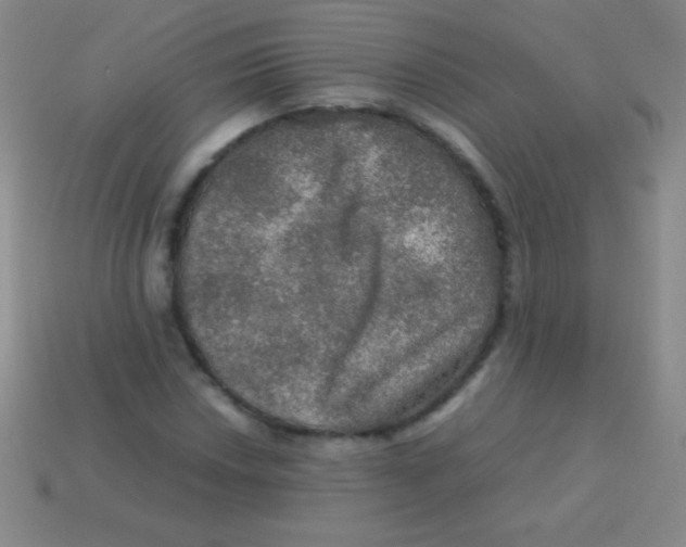 X0000113601018200910161900