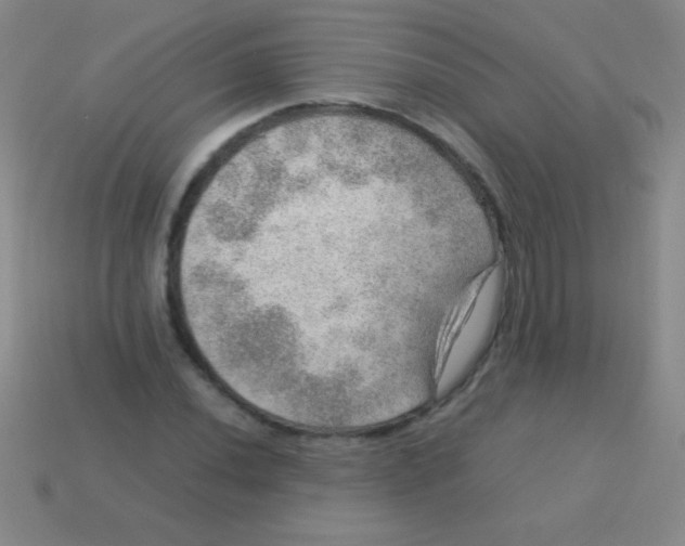 X0000113601020200910161900