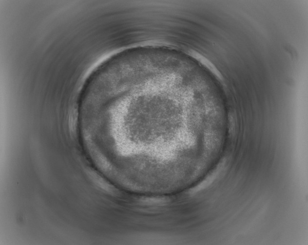 X0000113601021200910161900