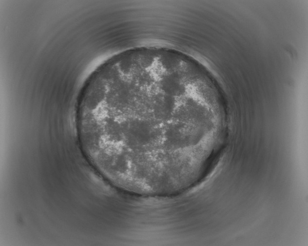 X0000113601022200910161900