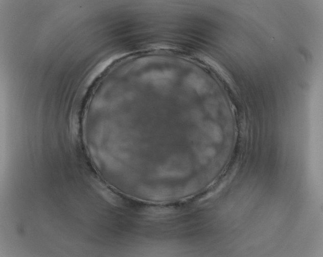 X0000113601023200910161900