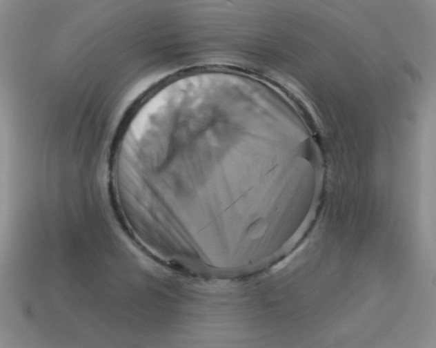 X0000113601024200910161900