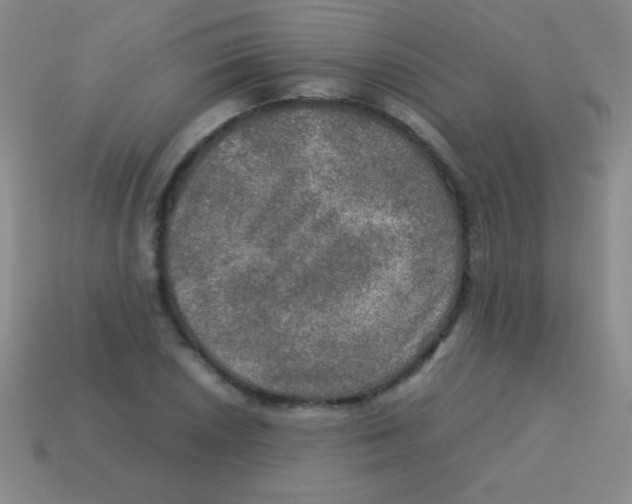 X0000113601026200910161900