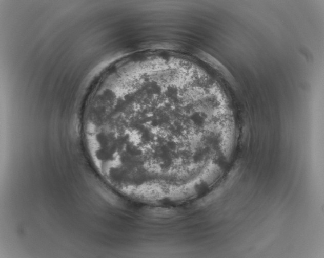 X0000113601027200910161900