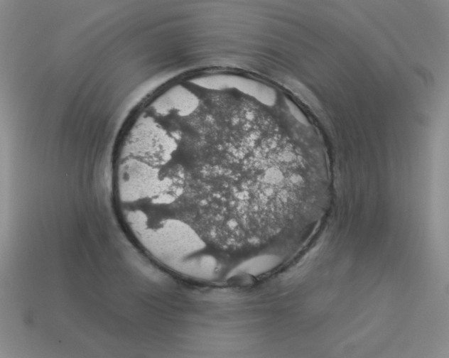 X0000113601028200910161900