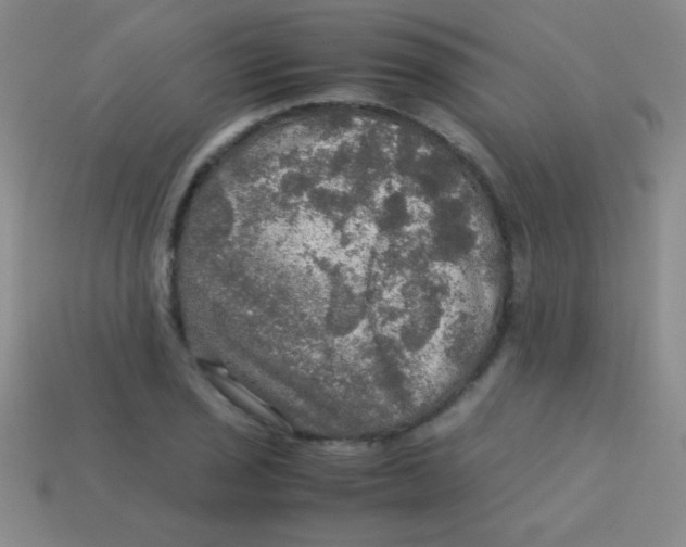 X0000113601029200910161900