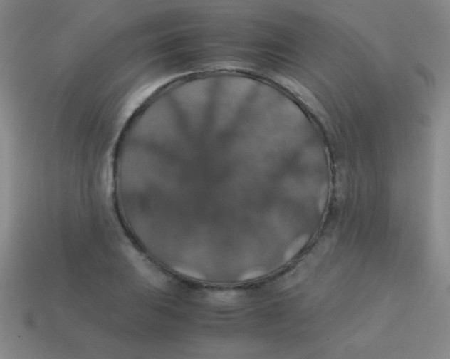 X0000113601031200910161900