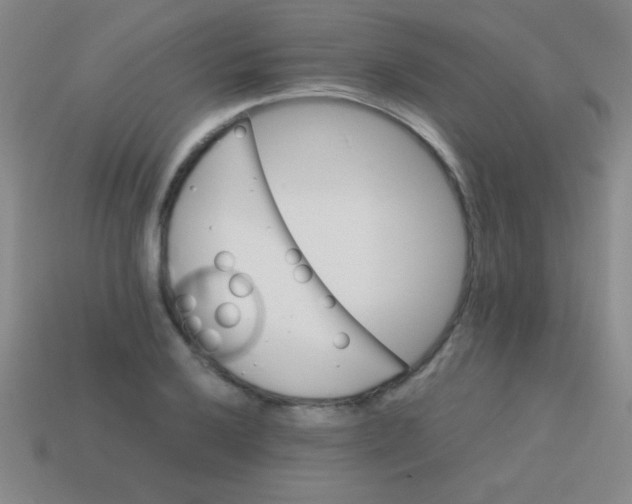 X0000113601032200910161900