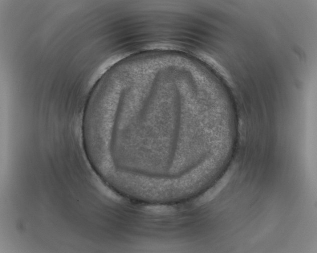 X0000113601033200910161900