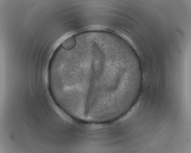 X0000113601034200910161900