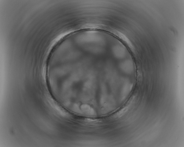 X0000113601035200910161900