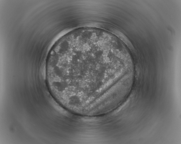 X0000113601036200910161900