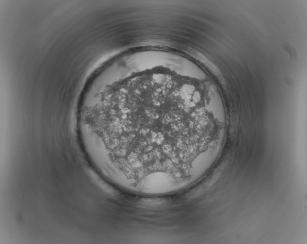 X0000113601037200910161900