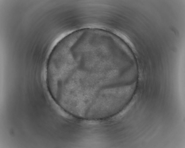 X0000113601040200910161900