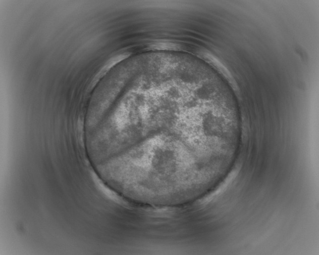 X0000113601041200910161901