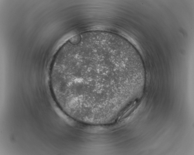 X0000113601042200910161901