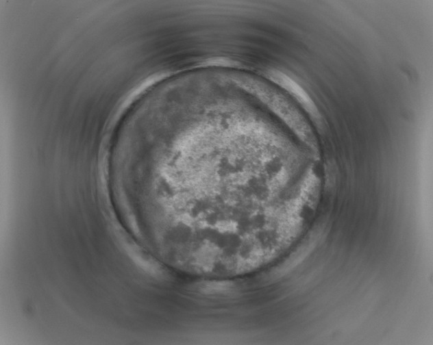 X0000113601043200910161901