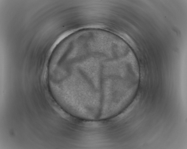 X0000113601044200910161901