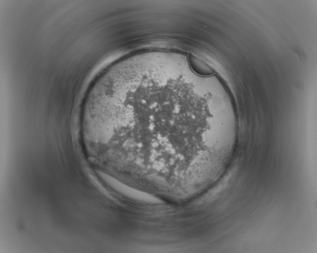 X0000113601045200910161901