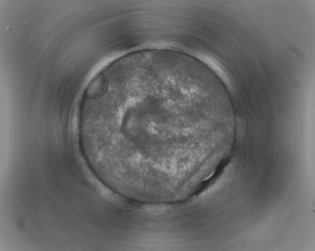 X0000113601046200910161901