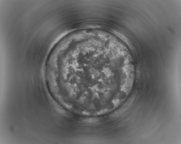 X0000113601047200910161901