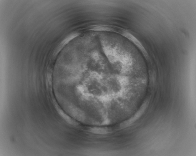 X0000113601049200910161901