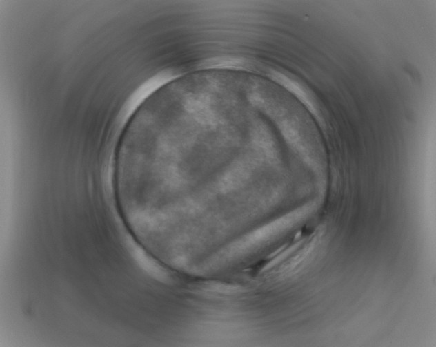 X0000113601050200910161901