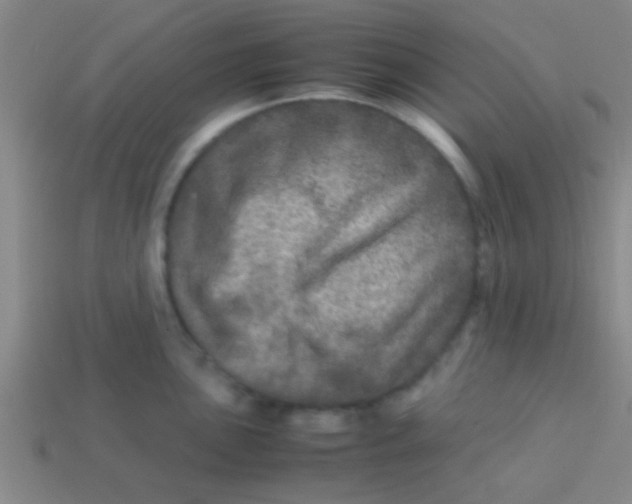 X0000113601051200910161901