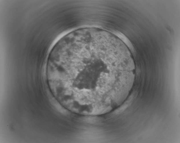 X0000113601052200910161901