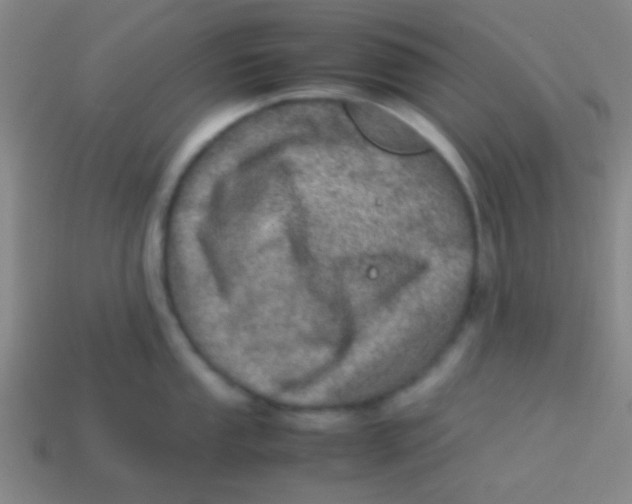 X0000113601053200910161901