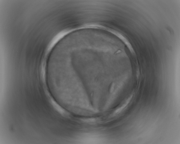 X0000113601054200910161901