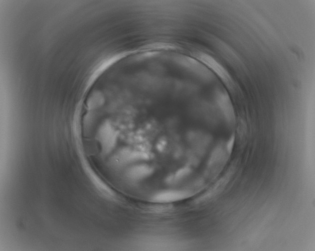 X0000113601055200910161901