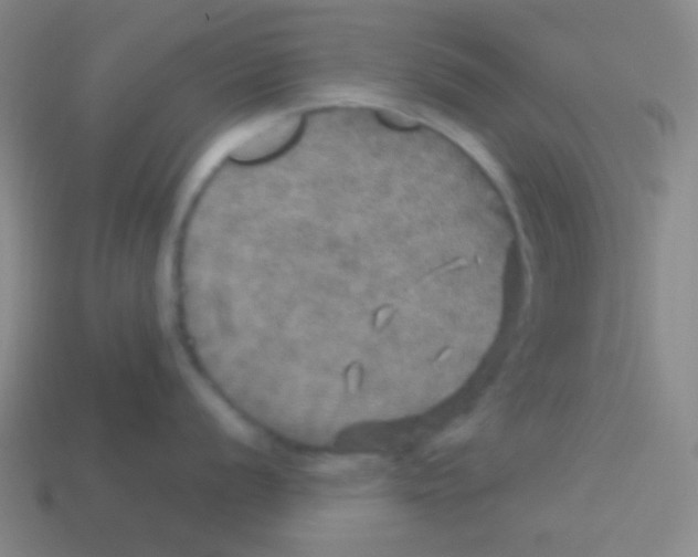 X0000113601056200910161901