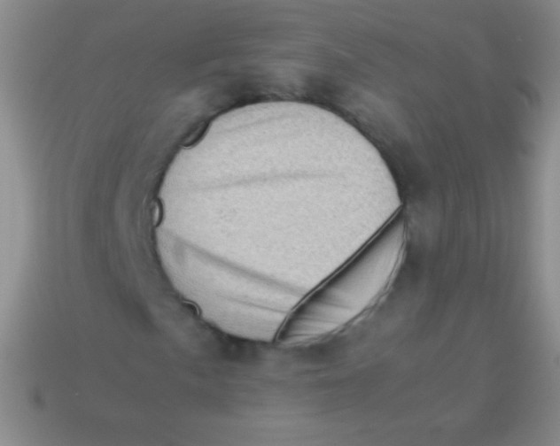 X0000113601057200910161900