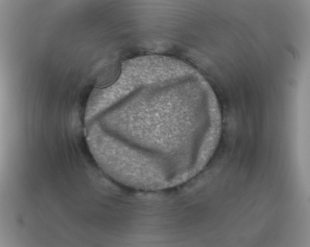 X0000113601058200910161900