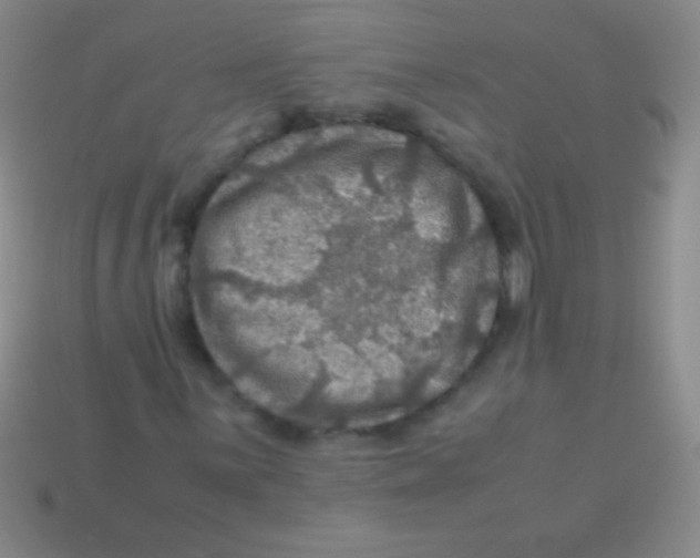 X0000113601059200910161900