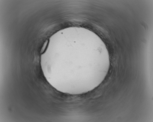 X0000113601061200910161900